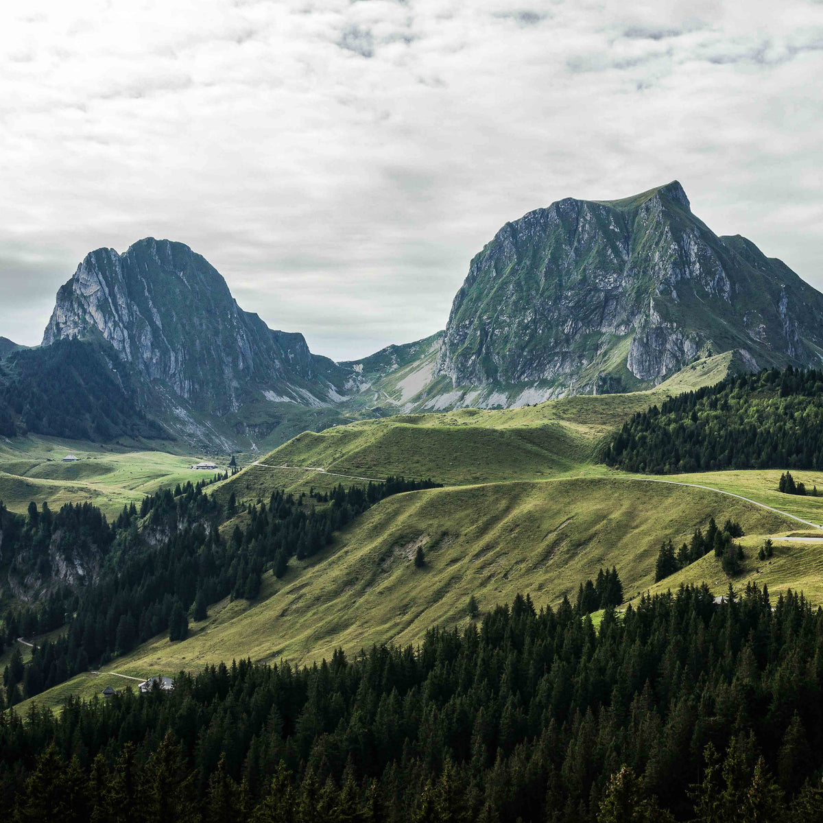 mood: Panorama des Naturpark Gantrisch